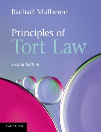 Principles of Tort Law Ebook